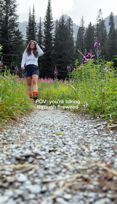 A woman walks on a gravel trail through thigh high fireweed in bloom. She's wearing a white long sleeve shirt, hiking shorts, Very Vermillion Hikas Gaiters, and brown hiking boots. 